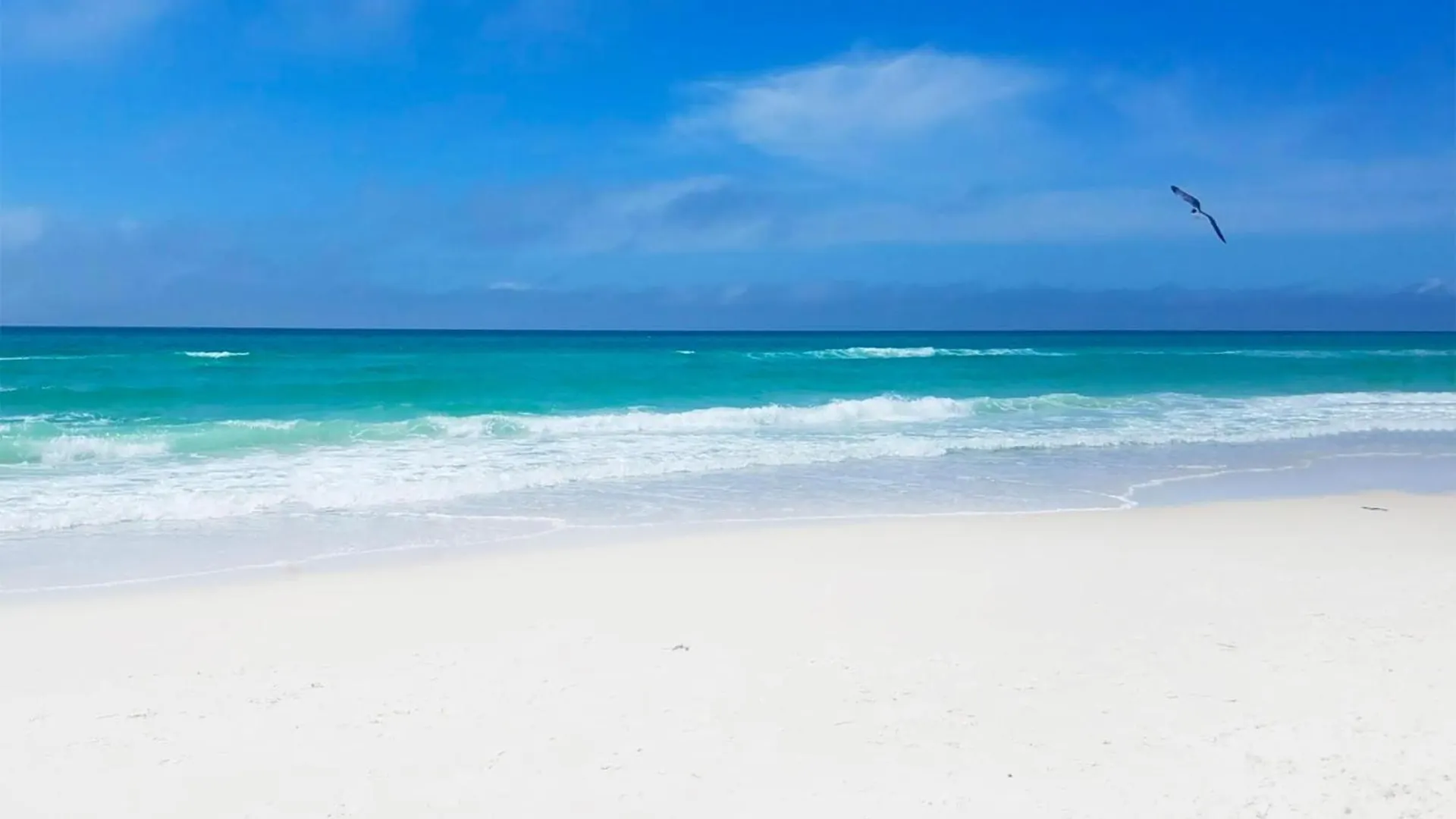 Villa Pearl Flamingo Panama City Beach